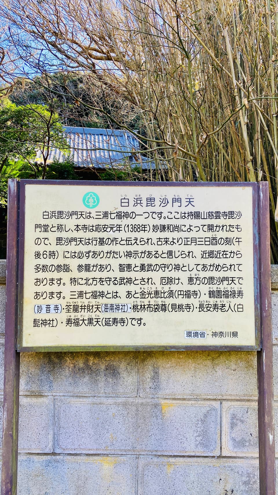 Slide 6